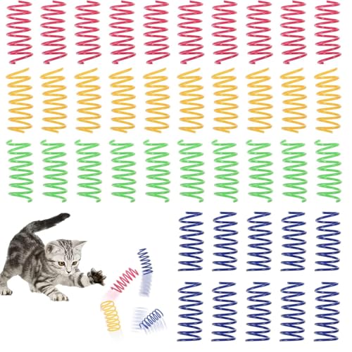 wlertcop Katzenfederspielzeug, BPA-frei, langlebig, schwere Kunststoff-Federn, kreatives Spielzeug für Kätzchen, Kunststoff-Spiralfedern für Katzen, Kätzchen, Haustiere, 40 Stück von wlertcop