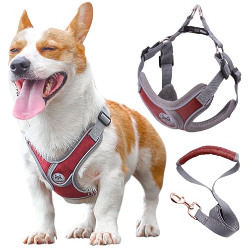 Wocharm Atmungsaktives Geschirr für Hunde und Katzen, mit Leine, verstellbar, für den Außenbereich, Spaziergänge, Haustierwelpen, Größe XS, Dunkelrot Wocharm Atmungsaktives Geschirr für Hunde und Katzen, mit Leine, verstellbar, für den Außenbereich, Spaziergänge, Haustierwelpen, Größe XS, Dunkelrot von wocharm