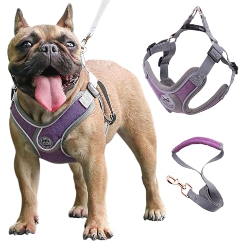 Wocharm Atmungsaktives Hundegeschirr mit Leine, verstellbar, für den Außenbereich, Größe XS, Violett Wocharm Atmungsaktives Hundegeschirr mit Leine, verstellbar, für den Außenbereich, Größe XS, Violett von wocharm