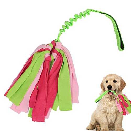 wodoca Interaktives Hundespielzeug, Seilspielzeug für aggressive Kauer, robustes Seil, Zerrspielzeug für Langeweile für kleine und mittelgroße Welpen, interagierende Spiele (grün) von wodoca