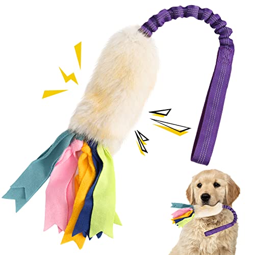Hundespielzeug, fast unzerstörbares Hundeseilspielzeug mit starkem Quietschen - ideales interaktives Tauziehen für Hunde jeden Alters von wodoca