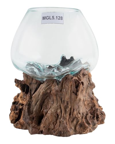 WOHNFREUDEN Teak Wurzel mit Glas Gr. L ca. 30-40 cm Teak Holz Wurzel Vase WOHNFREUDEN Teak Wurzel mit Glas Gr. L ca. 30-40 cm Teak Holz Wurzel Vase von wohnfreuden