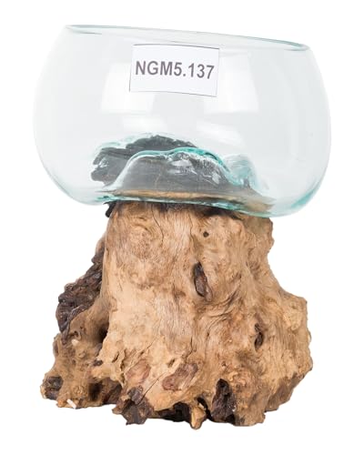 WOHNFREUDEN Teakholz Wurzel mit Glas-Vase 25-35 cm - Holzwurzel mit Glas Wohnzimmer Dekoration WOHNFREUDEN Teakholz Wurzel mit Glas-Vase 25-35 cm - Holzwurzel mit Glas Wohnzimmer Dekoration von wohnfreuden