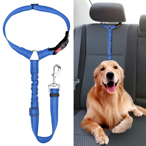 Verstellbarer Anschnallgurt Hund Auto kopfstütze, Sicherheitsgeschirr Hund, Hunde Sicherheitsgurt, Hunde Anschnallgurt mit Elastischer für Kleine Hunde Mittelgroße Welpen-Blau (Blau) von worahroe