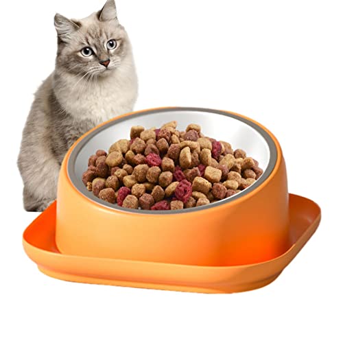 woyufen Schräge Katzenschale - Erhöhte Katzennäpfe - Katzenfutternapf Bowl Gekippter erhöhter Katzenwassernapf Haustierbedarf Erhöhter Katzennapf von woyufen