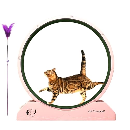 wqibq Katzenübungsrad, Katzenlaufrad - Kleines Kätzchen -Fitness -Werkzeug | Antifalling-Laufband Lauffitness-Trainingräder mit Teaser für Innenkatzen von wqibq