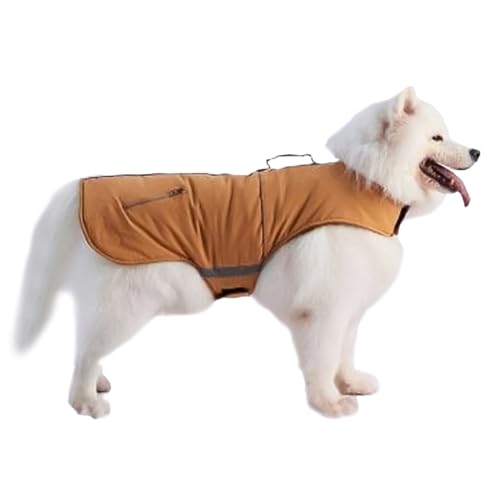 wqibq Mäntel für Hunde,Winterjacke für Hunde, Winterweste Warmer Hundemantel, Puppy Outfits Hundejacke, Hundekleidung, Mäntel für kaltes Wetter, Winddicht, für kleine und mittelgroße wqibq Mäntel für Hunde,Winterjacke für Hunde, Winterweste Warmer Hundemantel, Puppy Outfits Hundejacke, Hundekleidung, Mäntel für kaltes Wetter, Winddicht, für kleine und mittelgroße von wqibq