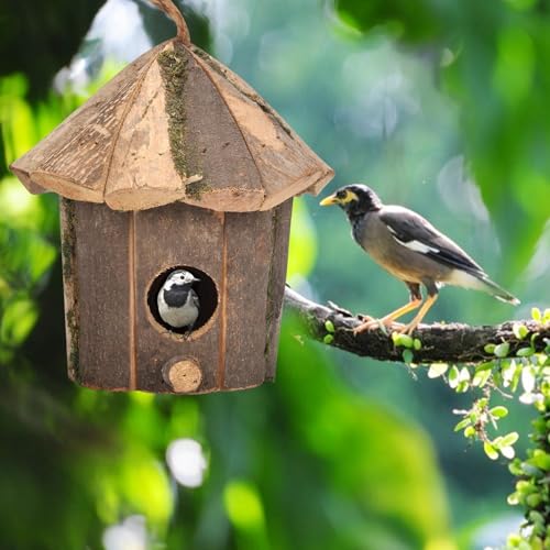 wqibq Nistkasten für den Garten, wasserdicht, Vogelhaus aus , für den Außenbereich, auf Standfuß, dekorativ, wasserdicht, Vogel wqibq Nistkasten für den Garten, wasserdicht, Vogelhaus aus , für den Außenbereich, auf Standfuß, dekorativ, wasserdicht, Vogel von wqibq