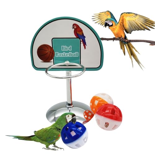 wqibq Papageienspielzeug für mittlere Vögel, Basketball -Vogelspielzeug | Basketball -Vogelfutterspielzeug mit 3 Bällen,Interaktiver Käfigzubehör Stehen für Spiele Training Cockatiel Conure von wqibq