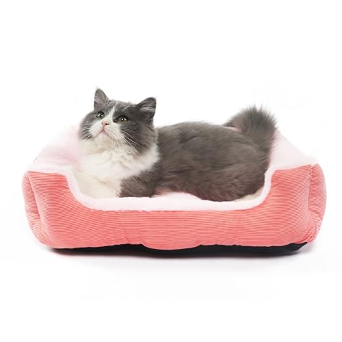 Extra kleines Hundebett für 1,4–2,3 kg Hunde, waschbar, niedliches rosa Katzenbett für Indoor-Katzen, orthopädisches, stützendes Haustier-Sofa mit Seiten Extra kleines Hundebett für 1,4–2,3 kg Hunde, waschbar, niedliches rosa Katzenbett für Indoor-Katzen, orthopädisches, stützendes Haustier-Sofa mit Seiten von wrkfree