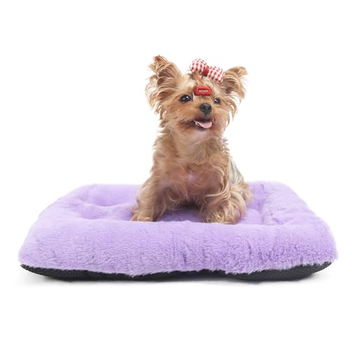 Extra kleines Hundebett für Kisten, 55,9 cm, superweiches Plüsch-Haustierbett für Hunde, Welpen, Katzen und Kaninchen, Violett Extra kleines Hundebett für Kisten, 55,9 cm, superweiches Plüsch-Haustierbett für Hunde, Welpen, Katzen und Kaninchen, Violett von wrkfree