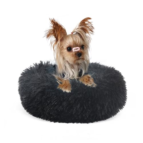 Hundebett, Größe XS, waschbar, beruhigendes Hundebett für kleine Hunde, 38,1 cm, Donut-Form, weich, für kleine Haustiere, Anti-Angst, rund, passend für bis zu 2,3 kg, warmes und bequemes Haustierbett Hundebett, Größe XS, waschbar, beruhigendes Hundebett für kleine Hunde, 38,1 cm, Donut-Form, weich, für kleine Haustiere, Anti-Angst, rund, passend für bis zu 2,3 kg, warmes und bequemes Haustierbett von wrkfree