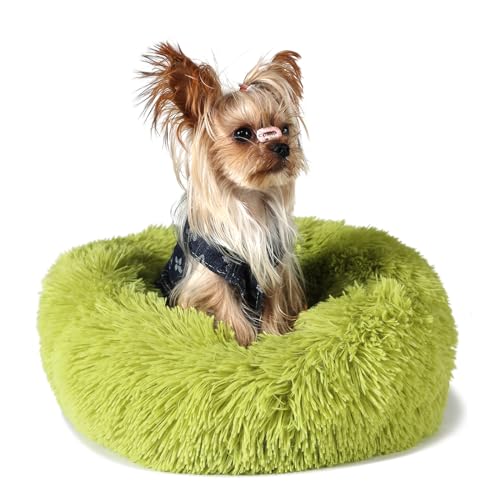 Hundebett, extra klein, waschbar, 38,1 cm, Donut-Motiv, weich, beruhigend, Anti-Angst, rund, passend für bis zu 2,3 kg, warmer Komfort, Haustierbetten für Welpen, Hunde im Innenbereich Hundebett, extra klein, waschbar, 38,1 cm, Donut-Motiv, weich, beruhigend, Anti-Angst, rund, passend für bis zu 2,3 kg, warmer Komfort, Haustierbetten für Welpen, Hunde im Innenbereich von wrkfree