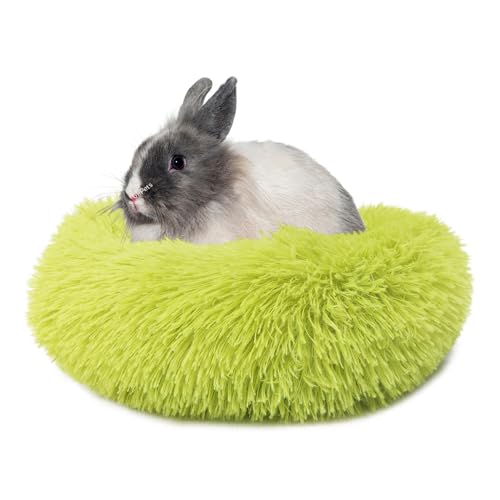 wrkfree Hamsterbett, weiches, warmes Kissen für Kleintiere, bequeme Schlafmatte für Meerschweinchen, Igel, Eichhörnchen, Mäuse, Ratten, Chinchilla, Nisthaus, 30 cm, Grün wrkfree Hamsterbett, weiches, warmes Kissen für Kleintiere, bequeme Schlafmatte für Meerschweinchen, Igel, Eichhörnchen, Mäuse, Ratten, Chinchilla, Nisthaus, 30 cm, Grün von wrkfree