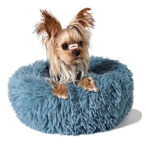 wrkfree Marshmallow Katzenbett für kleine Neugeborene Kätzchen, Indoor-Katzen, Plüsch-Welpenbett, 40 cm wrkfree Marshmallow Katzenbett für kleine Neugeborene Kätzchen, Indoor-Katzen, Plüsch-Welpenbett, 40 cm von wrkfree
