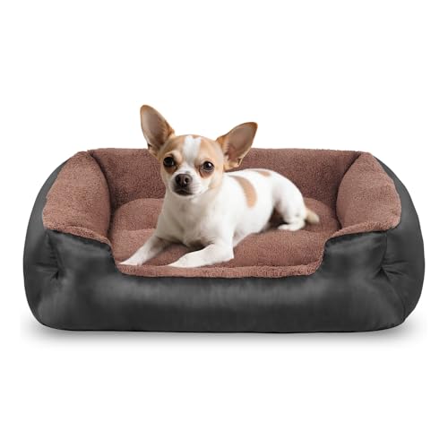 wrturisk Hundebett Medium - Waschbare Hundebetten für kleine Hunde und Katzen, bequemes und atmungsaktives Haustier-Sofabett mit rutschfester Unterseite, Schwarz wrturisk Hundebett Medium - Waschbare Hundebetten für kleine Hunde und Katzen, bequemes und atmungsaktives Haustier-Sofabett mit rutschfester Unterseite, Schwarz von wrturisk