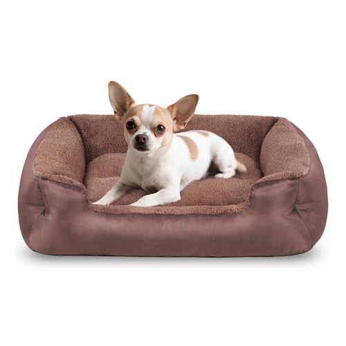 wrturisk Hundebett Weiches beruhigendes schlafendes Welpenbett, bequemes und atmungsaktives Hunde- und Katzenbett, maschinenwaschbar, rutschfeste Unterseite, Braun wrturisk Hundebett Weiches beruhigendes schlafendes Welpenbett, bequemes und atmungsaktives Hunde- und Katzenbett, maschinenwaschbar, rutschfeste Unterseite, Braun von wrturisk