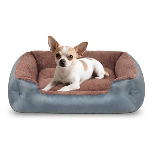 wrturisk Mittelgroßes Hundebett, rechteckiges waschbares Hundebett, weicher Komfort, schlafendes Welpenbett für Hunde und Katzen, rutschfeste Unterseite, Grau wrturisk Mittelgroßes Hundebett, rechteckiges waschbares Hundebett, weicher Komfort, schlafendes Welpenbett für Hunde und Katzen, rutschfeste Unterseite, Grau von wrturisk