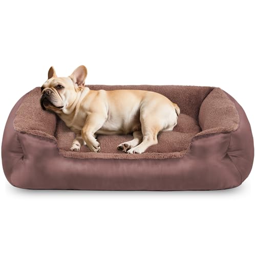 wrturisk Orthopädische Hundebetten, mittelgroß, waschbar, weich, beruhigend, rechteckig, Komfort-Haustierbett für mittelgroße Hunde, rutschfeste Unterseite, Braun wrturisk Orthopädische Hundebetten, mittelgroß, waschbar, weich, beruhigend, rechteckig, Komfort-Haustierbett für mittelgroße Hunde, rutschfeste Unterseite, Braun von wrturisk