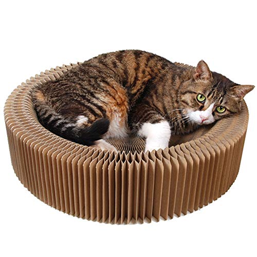 Akkordeon Faltbare Katzenstreu Haustier Hundematte Haus Katze Kratzbrett Wellpapier Atmungsaktiv Durchmesser 50 cm Verformungsspielzeug Schleifkralle Akkordeon Faltbare Katzenstreu Haustier Hundematte Haus Katze Kratzbrett Wellpapier Atmungsaktiv Durchmesser 50 cm Verformungsspielzeug Schleifkralle von wsdhswhdhsdsds