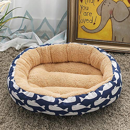 Beige/Blau + Wal-Haustierbedarf, modische Hundehütte, Katzenstreu, kleine, mittelgroße Hunde, Haustier-Hundeunterlage, 50 x 50 x 14 cm von wsdhswhdhsdsds