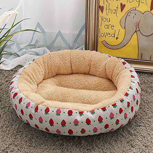 Beige/Weiß + Erdbeere, modisches Haustierzubehör, Hundehütte, Katzenstreu, kleine, mittelgroße Hunde, Haustier-Hundeunterlage, 50 x 50 x 14 cm von wsdhswhdhsdsds