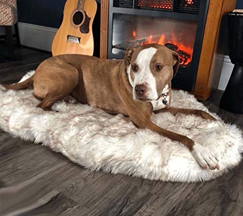 Hunde-/Hunde-Plüschkissen, Beige, Größe L, M, S, XL (Größe L) von wsdhswhdhsdsds