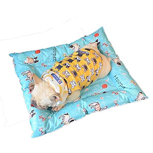 Ice Nest Haustiernest, Eiskissen, Hundematte, wasserdicht, kühlend, Sommer, Katze, dickes blaues Eiskissen, 6676 cm von wsdhswhdhsdsds