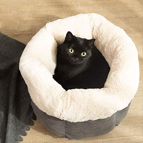 Katzenstreu, Winter, warm, Teddy-Zwinger, Katzenschlafsack, Chihuahua-Haus, Welpenmatte, tiefer Schlaf, Haustiernest, 404030 cm, Aprikose von wsdhswhdhsdsds