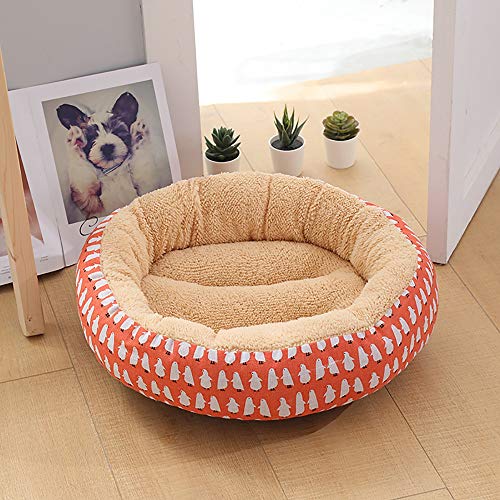 Pet Supplies Hundehütte / Katzenstreu, Eisbär, 50 cm, 14 cm, Beige / Orange von wsdhswhdhsdsds