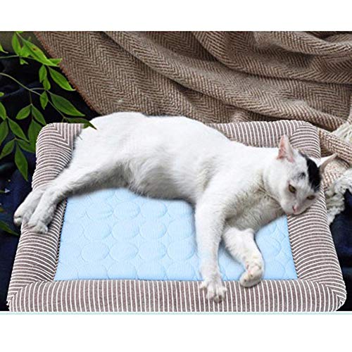 Summer Eisseidenmatte, klein und mittelgroß, multifunktional, für Hunde, Katzen, Blau, 7658 cm von wsdhswhdhsdsds