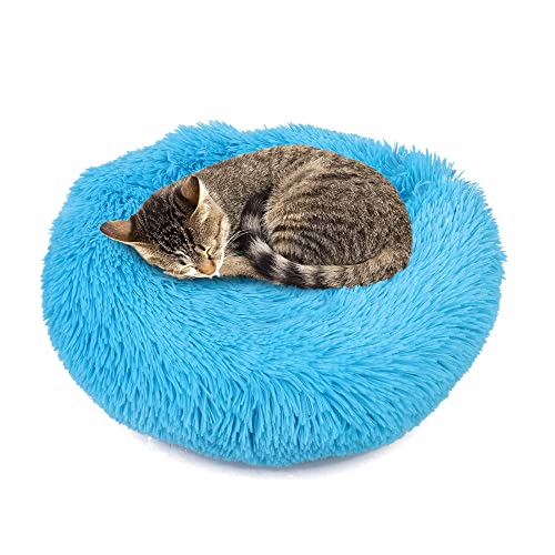 wuuhoo® Hundebett Fluffy 40cm Donut für kleine und mittelgroße Hunde - weiches Haustierbett rund, waschbares Hundekörbchen für Hund oder Katze, Flauschiger Hundekorb blau von wuuhoo