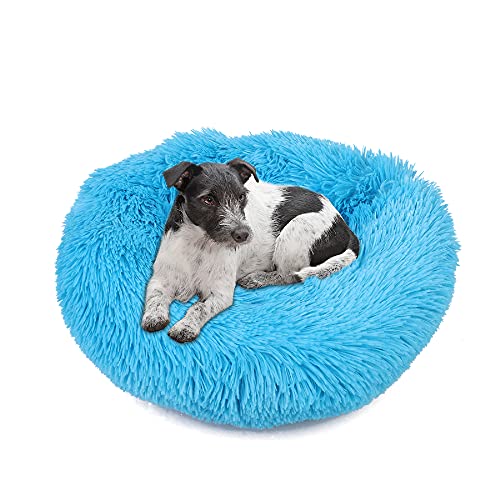 wuuhoo® Hundebett Fluffy 50cm Donut für kleine und mittelgroße Hunde - weiches Haustierbett, waschbares Hundekörbchen für Hund oder Katze, Flauschiger Hundekorb blau von wuuhoo