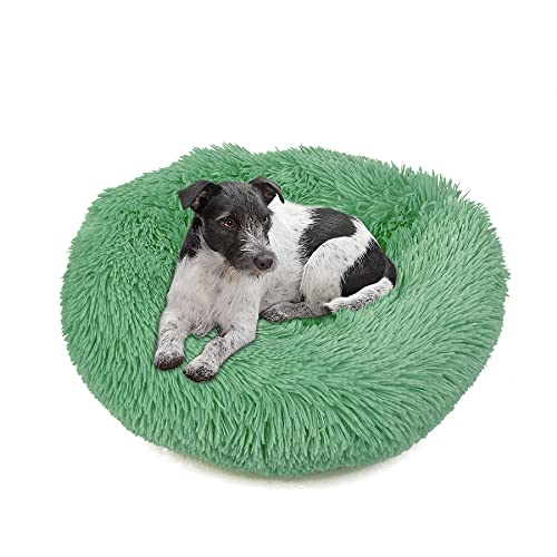 wuuhoo® Hundebett Fluffy 50cm Donut für kleine und mittelgroße Hunde - weiches Haustierbett, waschbares Hundekörbchen für Hund oder Katze, Flauschiger Hundekorb grün von wuuhoo