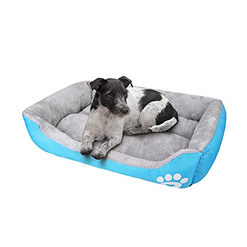 wuuhoo® Hundebett Lucky 45cm für kleine und mittelgroße Hunde - weiches Haustierbett, waschbares Hundekörbchen für Hund oder Katze, Flauschiger Hundekorb - hellblau von wuuhoo