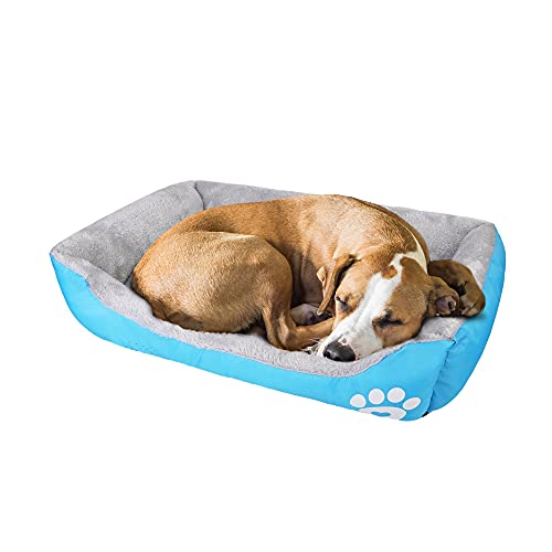 wuuhoo® Hundebett Lucky 60cm für kleine und mittelgroße Hunde - weiches Haustierbett, waschbares Hundekörbchen für Hund oder Katze, Flauschiger Hundekorb - hellblau von wuuhoo