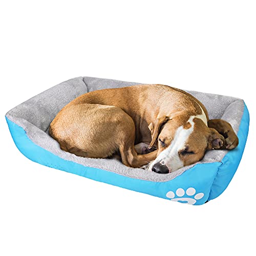 wuuhoo® I Hundebett Lucky 70cm I Flauschiges und gemütliches Hundesofa I für mittelgroße Hunde I Haustierbett Waschmaschinen geeignet hellblau von wuuhoo