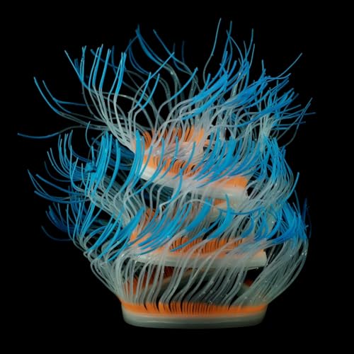 xbiez Aquarium-Dekoration, leuchtende Seeanemonen-Fischtanks Unterwasser-Ornament, Landschaftsbau, Dekoration für Fischhemmpen xbiez Aquarium-Dekoration, leuchtende Seeanemonen-Fischtanks Unterwasser-Ornament, Landschaftsbau, Dekoration für Fischhemmpen von xbiez