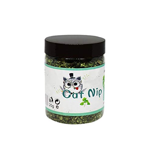 xbiez für Katzen Minze Leckerlis Natürliche Minzblätter Ausgewählt für Blätter Natur für Katze Minze für Haustier Kätzchen für xbiez für Katzen Minze Leckerlis Natürliche Minzblätter Ausgewählt für Blätter Natur für Katze Minze für Haustier Kätzchen für von xbiez