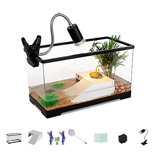 xixihome Turtle Tank Aquarium Kunststoff Schildkröten Aquarium Labitat Transparent Reptilien Aquarium Tank mit Zubehör Leicht zu reinigen, für Einsiedlerkrebse, Terrapin kleine Reptilien (40 x 21 x von xixi home