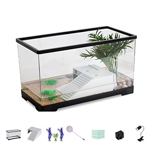 xixihome Turtle Tank Aquarium Kunststoff Schildkröten Aquarium Labitat Transparent Reptilien Aquarium Tank mit Zubehör leicht zu reinigen, für Einsiedlerkrebse, Terrapin kleine Reptilien (60 x 30 x von xixi home