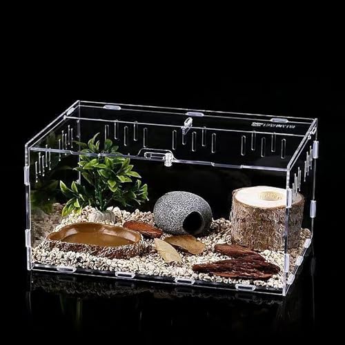 xixibuy Spinnen Terrarium, Reptile Terrarium Box, Portable Habitat for Reptiles and Amphibians, Suitable for Spiders, Lizards, Frogs, Scorpions, Barbecues, Geckos(Acryl-30 * 20 * 15cm) von xixibuy