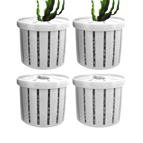 4 Stück Aquarium Pflanzenhalter Wasserpflanzen Fixed Ring Pflanzkorb, Fisch Tank Pflanze Schwerkraft Für Den Wassergarten Im Innen- Und Außenbereich 4×3,4×3,5cm 4 Stück Aquarium Pflanzenhalter Wasserpflanzen Fixed Ring Pflanzkorb, Fisch Tank Pflanze Schwerkraft Für Den Wassergarten Im Innen- Und Außenbereich 4×3,4×3,5cm von xowwyue