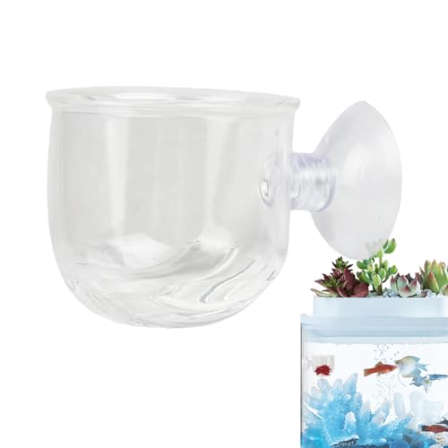 xowwyue Aquarium Live Red Worm Feeder, Aquarium Blutwurm Feeder,Salzwassergarnelen lebende Pflanzen Aquariumhalter - Pflanzenbecher aus Glas für lebende Pflanzen, Fischfutterspender mit starker xowwyue Aquarium Live Red Worm Feeder, Aquarium Blutwurm Feeder,Salzwassergarnelen lebende Pflanzen Aquariumhalter - Pflanzenbecher aus Glas für lebende Pflanzen, Fischfutterspender mit starker von xowwyue