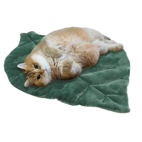 xowwyue Blattförmige Katzenmatte Weiche Blatt Katzenbett Schlafmatte Aus Baumwolle, Waschbar Haustiermatte Haustierunterlage Für Katzen Und Hunde 60x50 cm von xowwyue