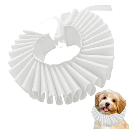xowwyue Clown-Rüschenhalsband für Hunde, Katzen, Hunde, gerüschtes Halsband, Haustierkostüm, Halsband, Rüschenhalsband für kleine und mittelgroße Hunde xowwyue Clown-Rüschenhalsband für Hunde, Katzen, Hunde, gerüschtes Halsband, Haustierkostüm, Halsband, Rüschenhalsband für kleine und mittelgroße Hunde von xowwyue