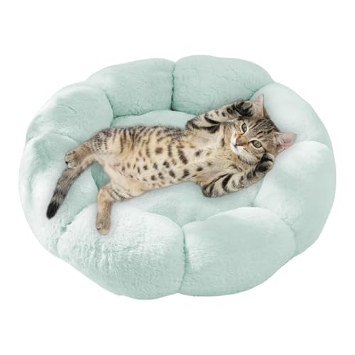 xowwyue Katzenbetten für Indoor-Katzen, weiche Katzenhöhle, Blume, warme Katzenbetten, waschbar, beruhigendes Katzennest, Plüsch-Haustierbetten für kleine Katzen und Indoor-Hunde xowwyue Katzenbetten für Indoor-Katzen, weiche Katzenhöhle, Blume, warme Katzenbetten, waschbar, beruhigendes Katzennest, Plüsch-Haustierbetten für kleine Katzen und Indoor-Hunde von xowwyue