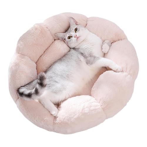 xowwyue Katzenbetten für Indoor-Katzen – warme Katzenhöhle, weiche Katzenbetten, waschbar, beruhigendes Katzennest, Plüsch-Haustierbetten für kleine Katzen und Indoor-Hunde xowwyue Katzenbetten für Indoor-Katzen – warme Katzenhöhle, weiche Katzenbetten, waschbar, beruhigendes Katzennest, Plüsch-Haustierbetten für kleine Katzen und Indoor-Hunde von xowwyue