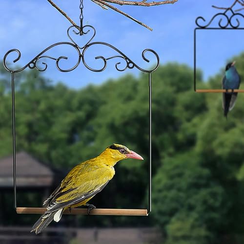xowwyue Vogelschaukel - Aufhängbarer Nymphensittich Sitzstangen Ständer - Vogelkäfig Schaukel Spielplatz Ständer Für Nymphensittich Unzertrennlicher Sittich Garten Terrasse Freiluftbereich xowwyue Vogelschaukel - Aufhängbarer Nymphensittich Sitzstangen Ständer - Vogelkäfig Schaukel Spielplatz Ständer Für Nymphensittich Unzertrennlicher Sittich Garten Terrasse Freiluftbereich von xowwyue