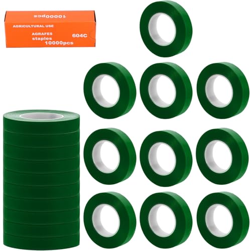 xutong Klebeband für Pflanzenbinder, Werkzeug mit 20 Rollen Klebeband, 1 Schachtel Heftklammern, Bänder für Pflanzenbindung, Gartenverpackung, zum Beschneiden von Gemüse und Fesselmaschine von xutong